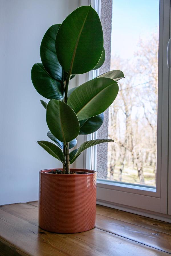 Kalamaja Park Appartement Tallinn