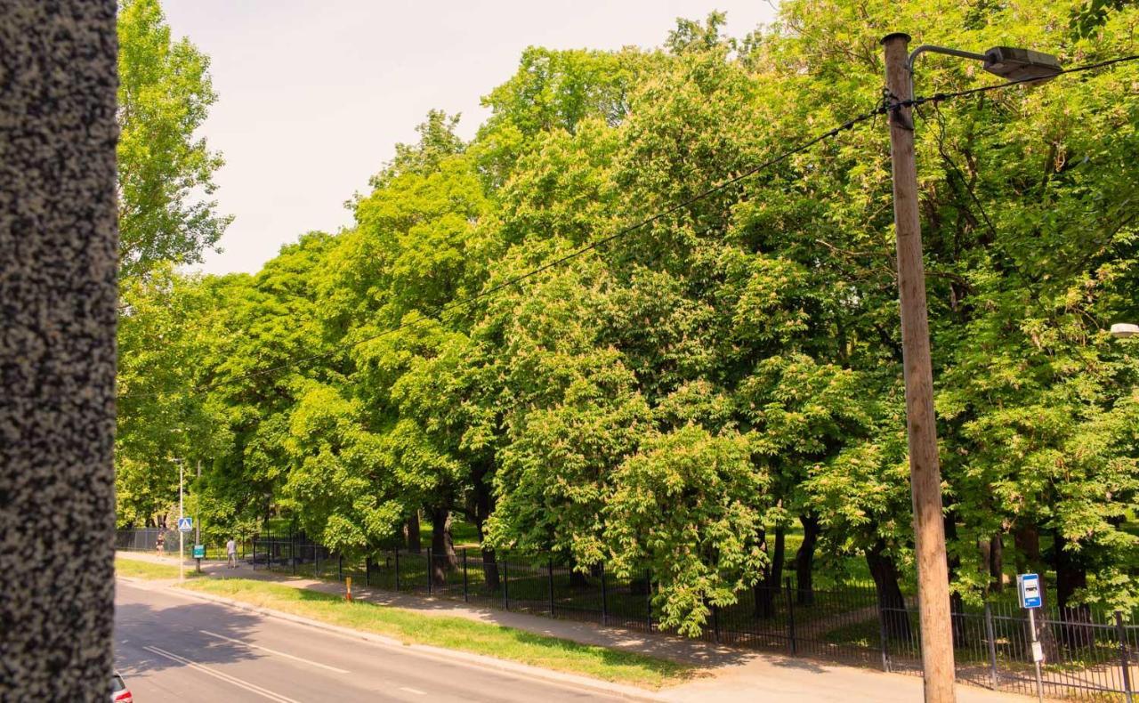 Kalamaja Park *